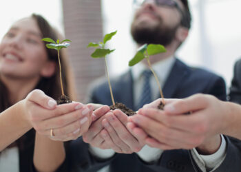 Sustentabilidade Corporativa: Estratégias para Empresas e Seus Benefícios